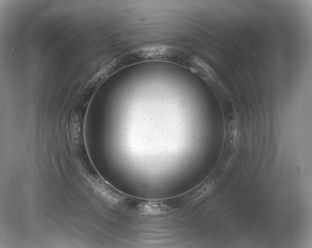 X0000080190372200612081433