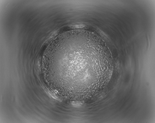 X0000080190373200612081433