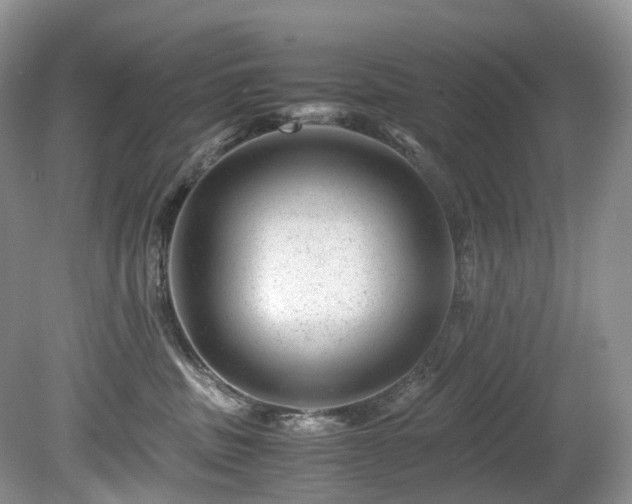 X0000080190379200612081434