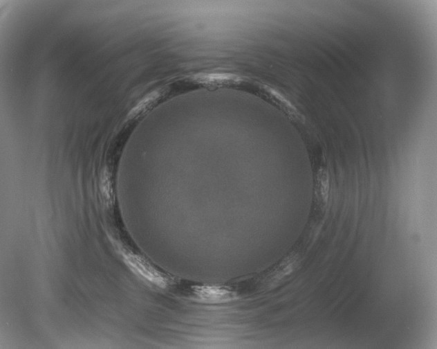 X0000080190380200612081434