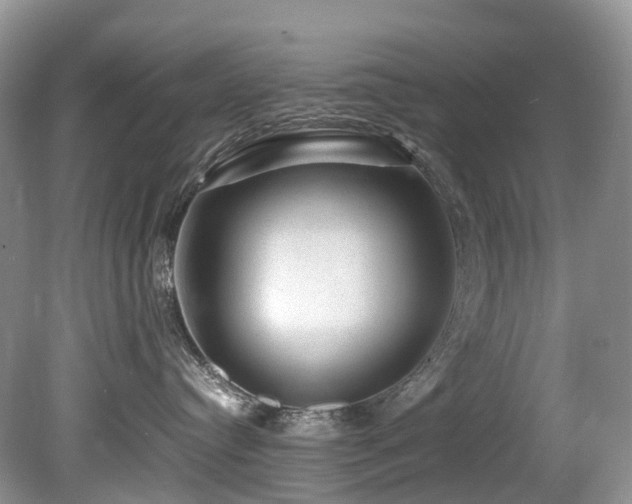 X0000080190384200612081434