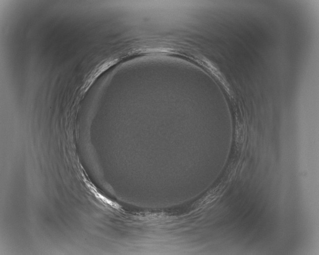 X0000080190385200612081433