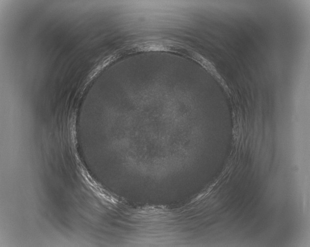 X0000080190386200612081433