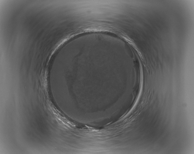 X0000080190387200612081433