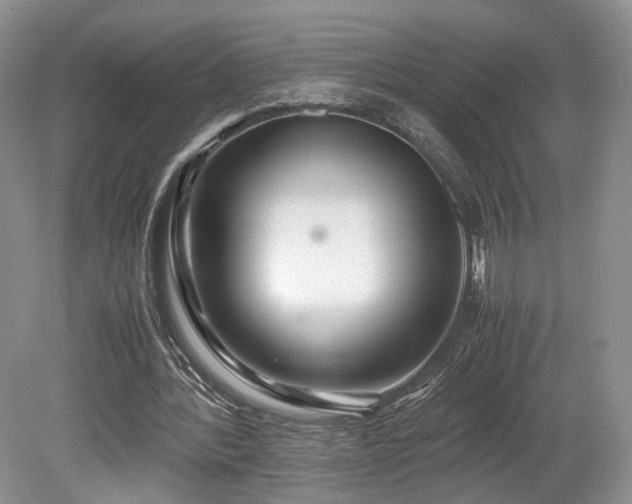 X0000080190388200612081433