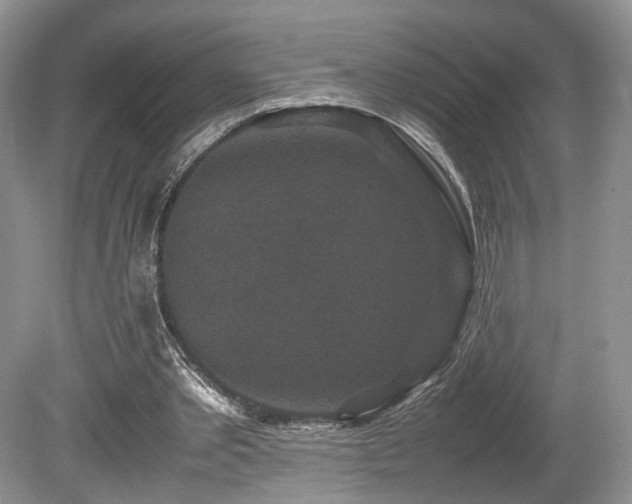 X0000080190389200612081433