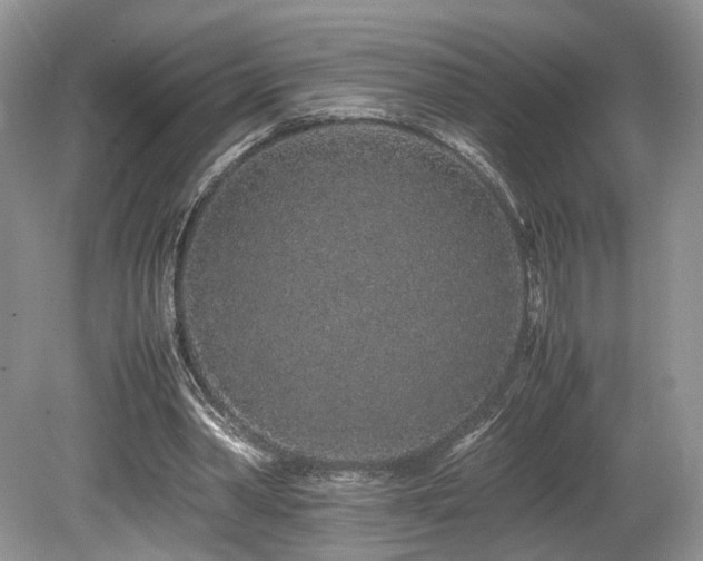 X0000080190390200612081433