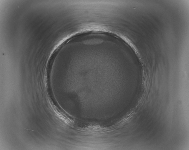 X0000080190391200612081433
