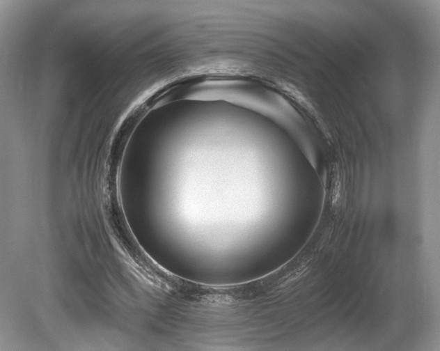 X0000080190392200612081433