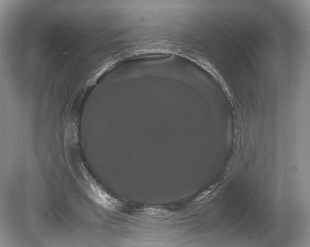 X0000080190393200612081433