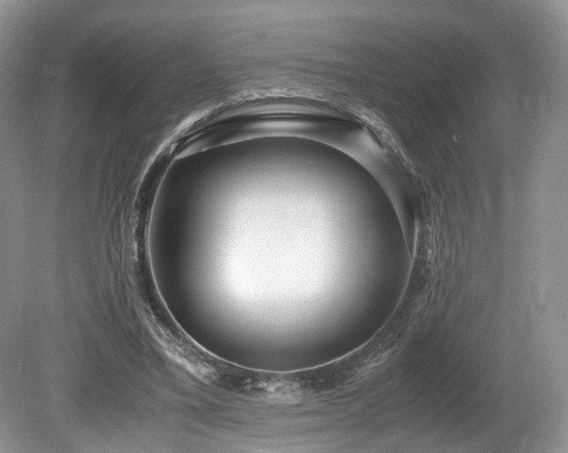X0000080190395200612081433