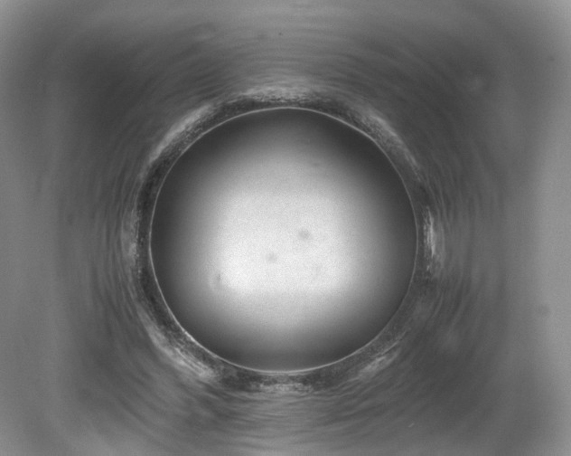 X0000080190396200612081433