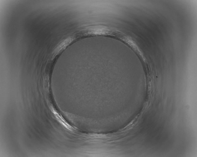 X0000080190397200612081433