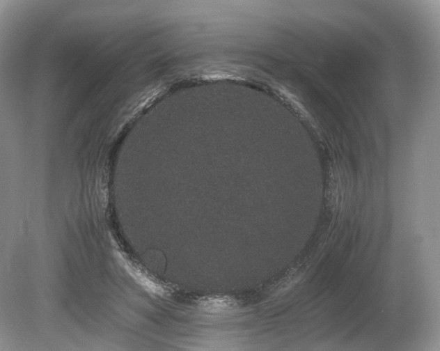 X0000080190402200612081433