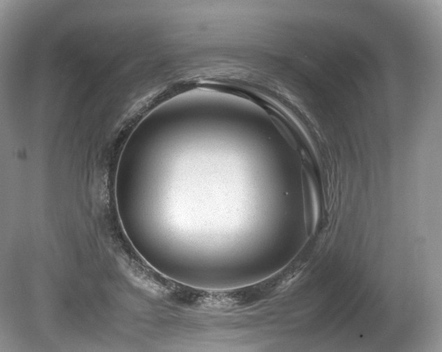X0000080190403200612081432