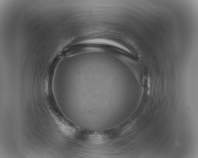 X0000080190404200612081432