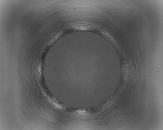 X0000080190406200612081432