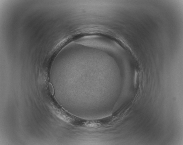 X0000080190407200612081432