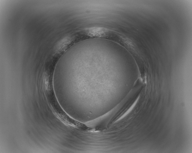 X0000080190408200612081432