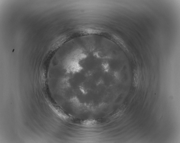 X0000080190410200612081432