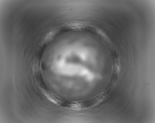 X0000080190411200612081432