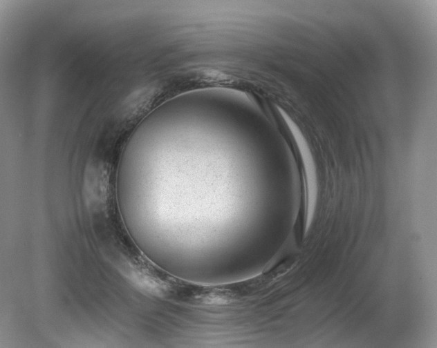 X0000080190412200612081432