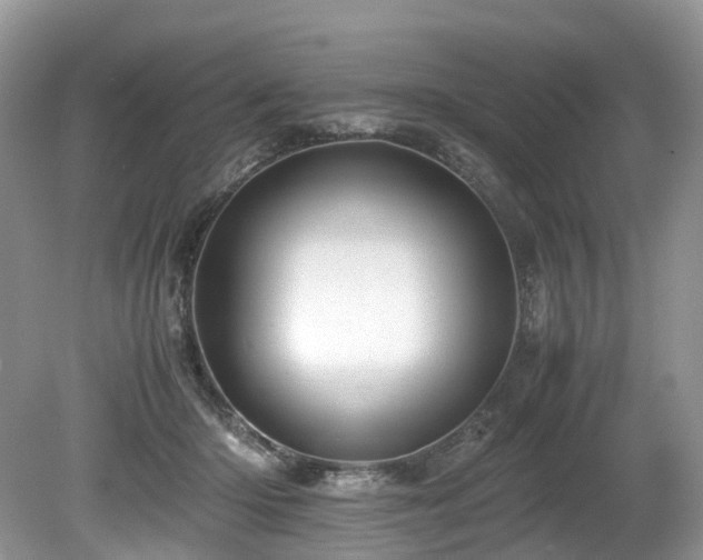 X0000080190414200612081432