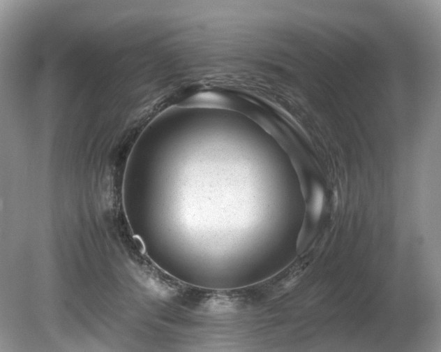 X0000080190416200612081432