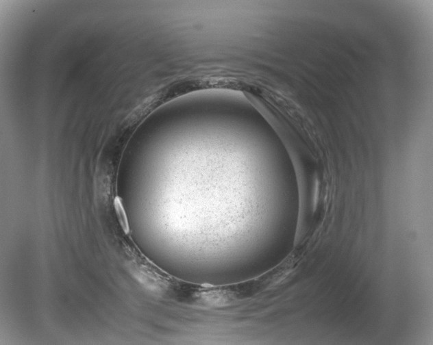 X0000080190417200612081432