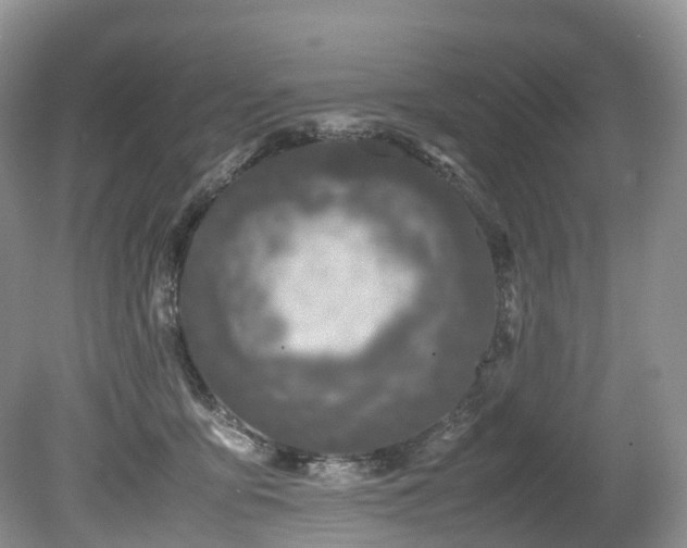 X0000080190419200612081432
