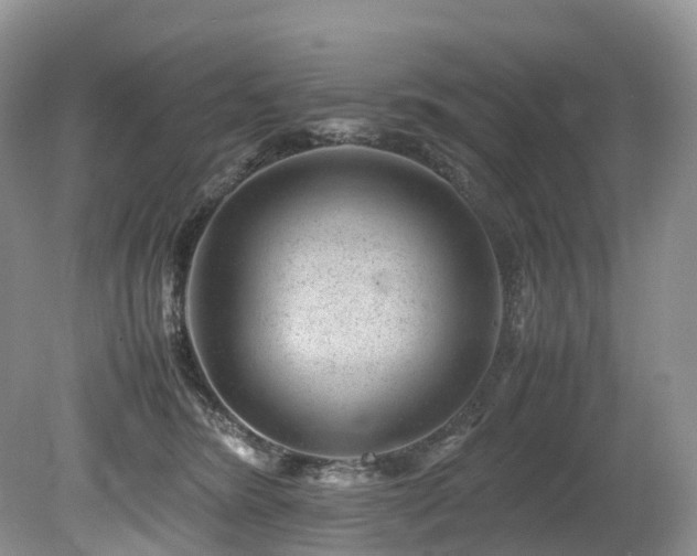 X0000080190420200612081432