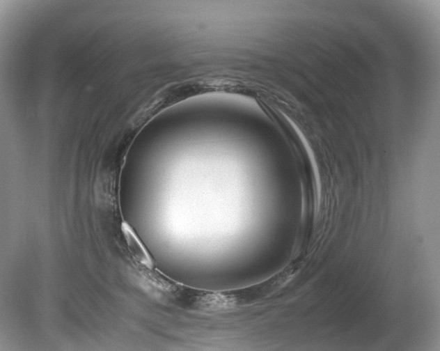X0000080190421200612081432