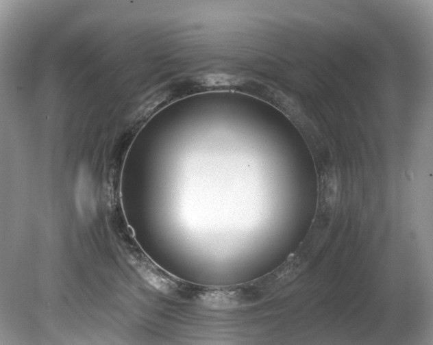 X0000080190422200612081432
