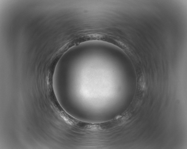 X0000080190424200612081432
