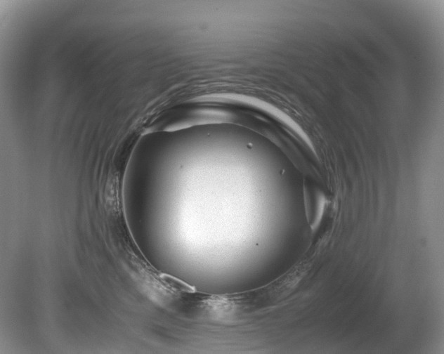 X0000080190425200612081432