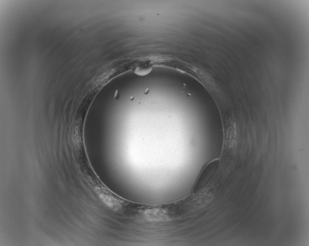 X0000080190426200612081432