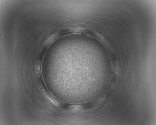 X0000080190427200612081432