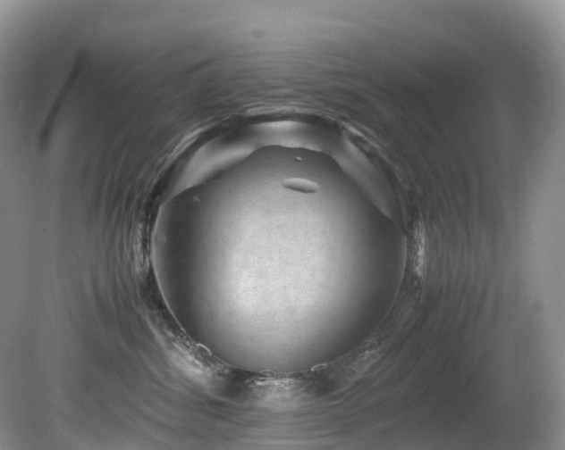 X0000080190428200612081432