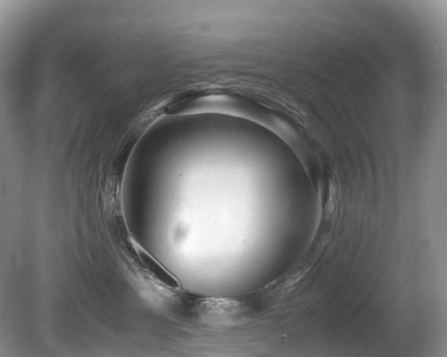 X0000080190429200612081432