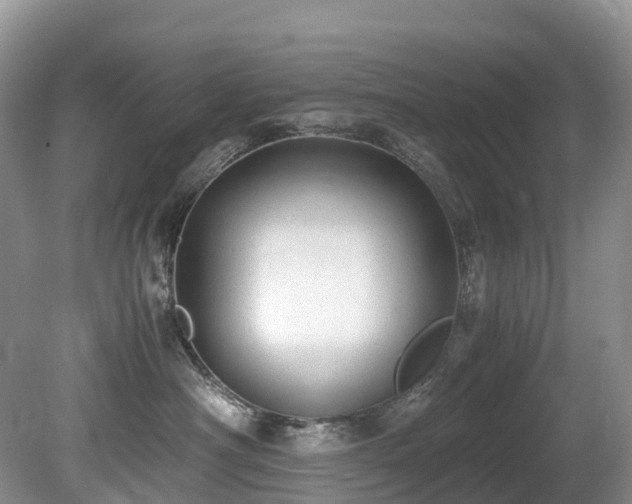 X0000080190430200612081432