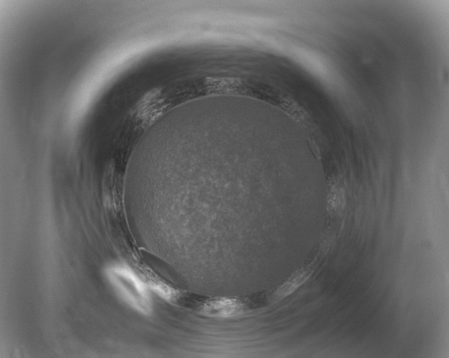 X0000080190431200612081432