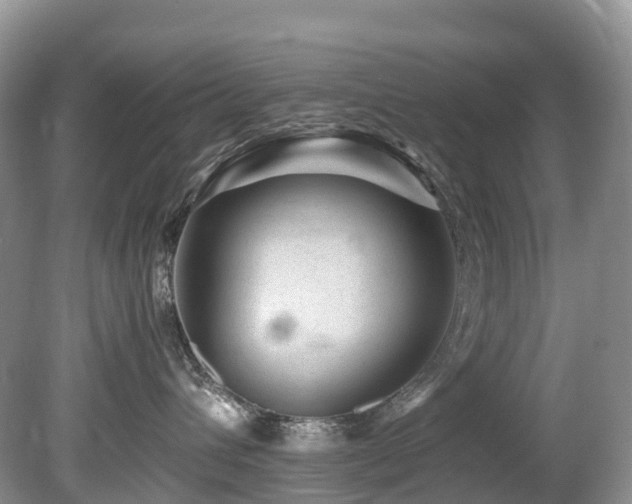 X0000080190432200612081432