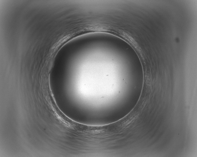X0000080190433200612081431