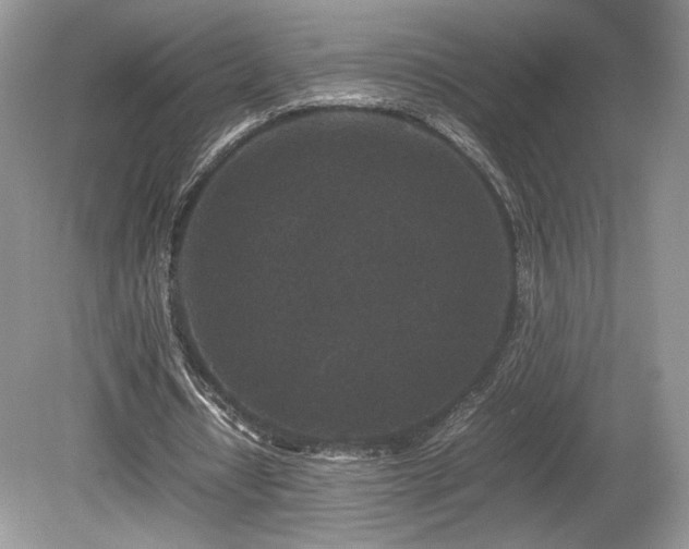 X0000080190434200612081431