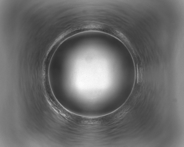 X0000080190435200612081431