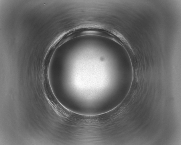 X0000080190436200612081431