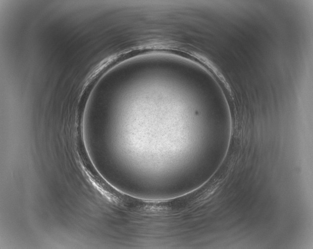 X0000080190437200612081431