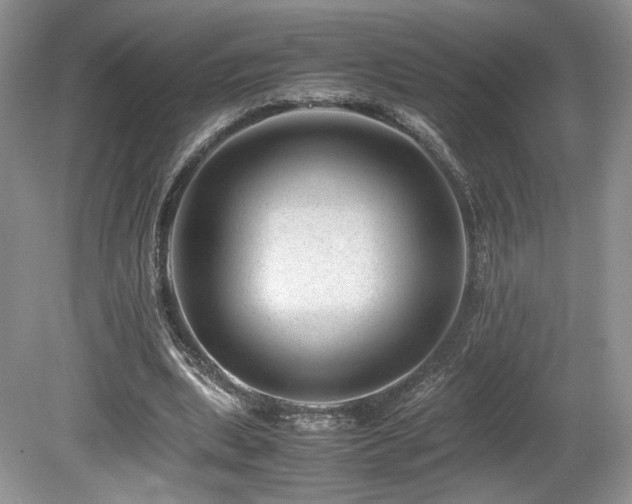 X0000080190439200612081431