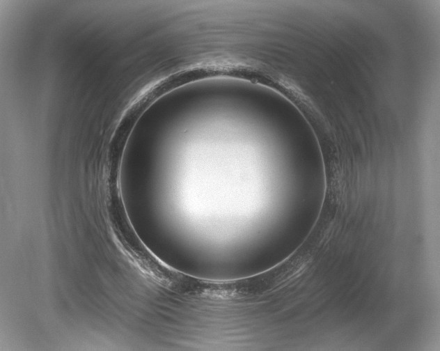 X0000080190440200612081431