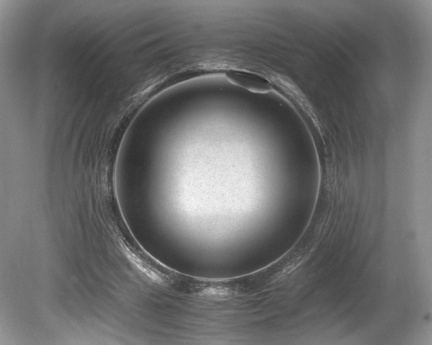X0000080190441200612081431